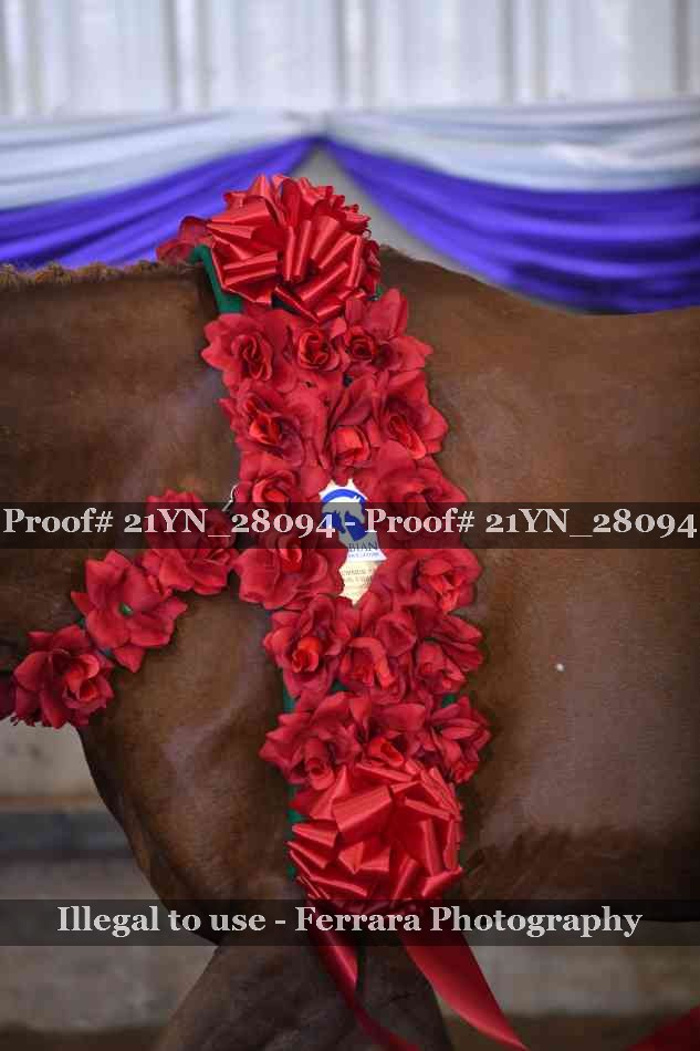 Proof 21YN_28094