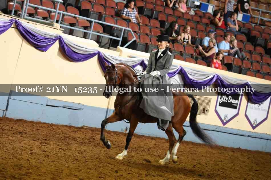 Proof 21YN_15235
