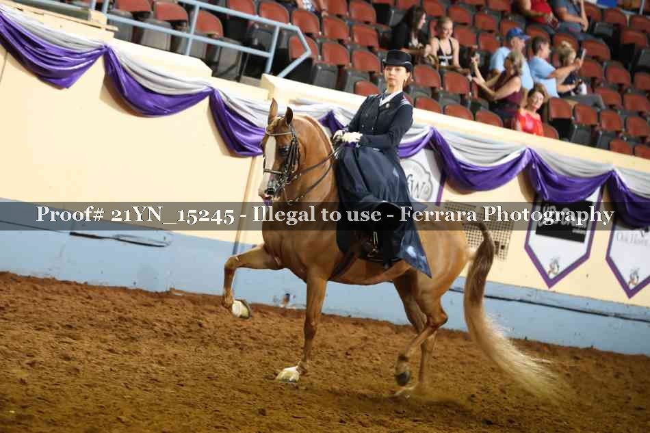 Proof 21YN_15245