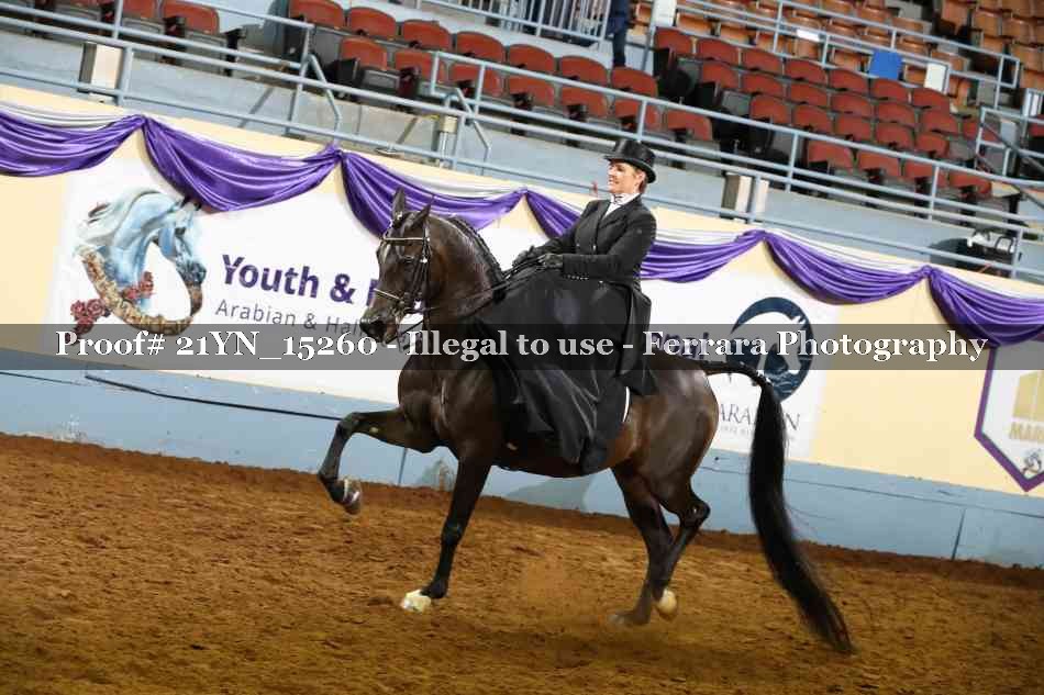 Proof 21YN_15260