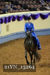 21YN_15264 proof
