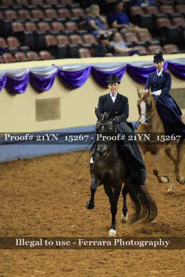 Proof 21YN_15267