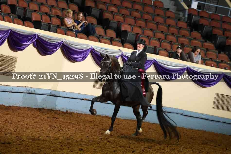 Proof 21YN_15298