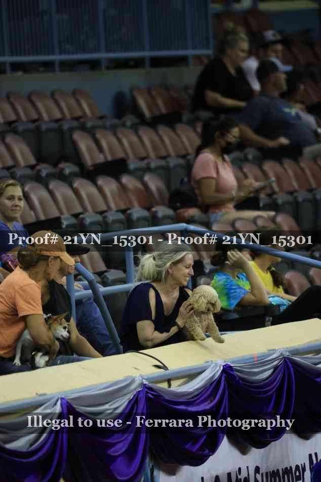 Proof 21YN_15301