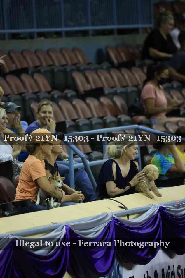 Proof 21YN_15303