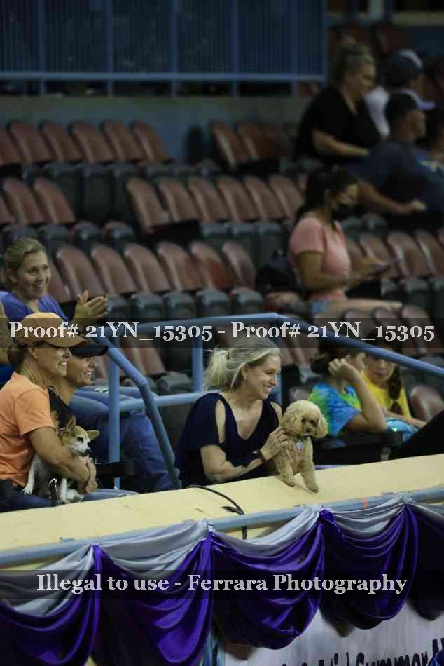 Proof 21YN_15305