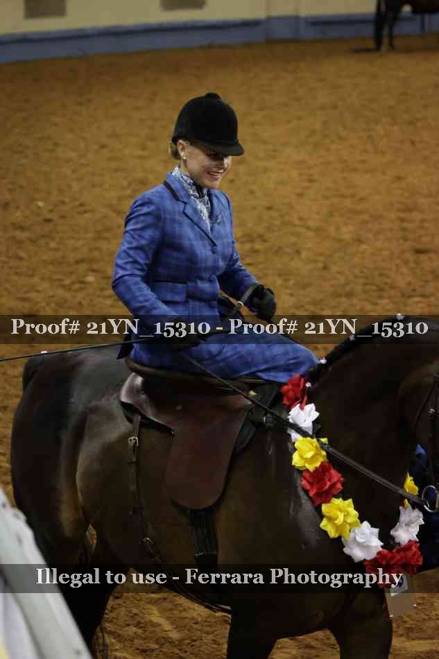 Proof 21YN_15310