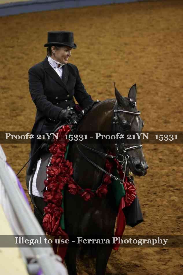 Proof 21YN_15331