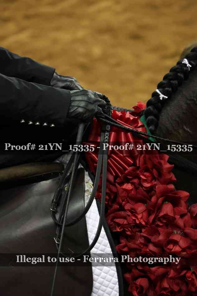 Proof 21YN_15335