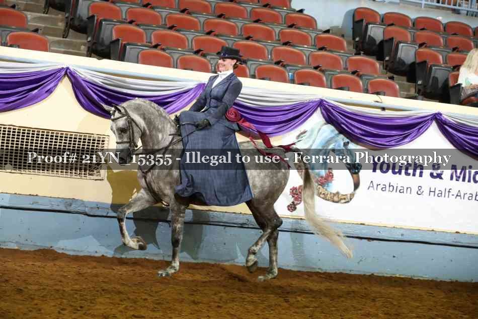 Proof 21YN_15355