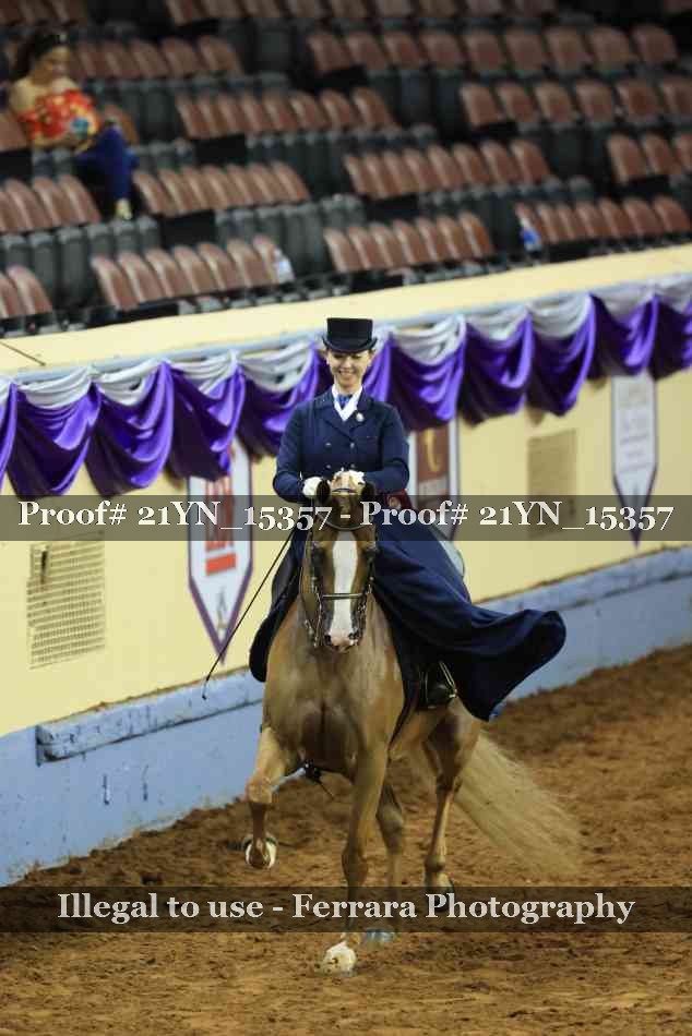 Proof 21YN_15357