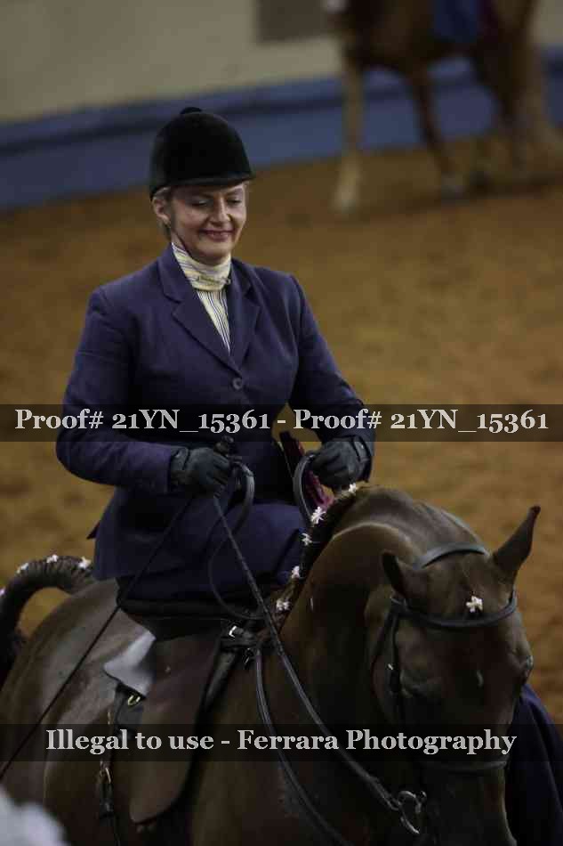 Proof 21YN_15361