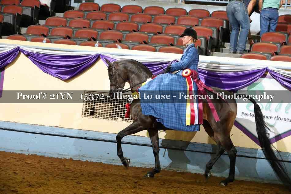 Proof 21YN_15372
