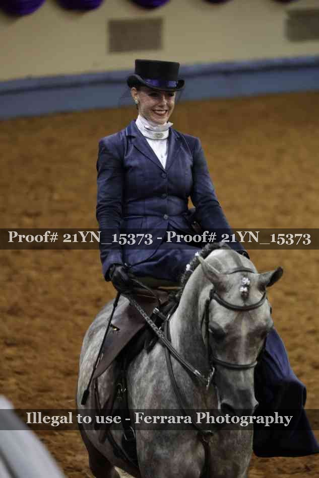Proof 21YN_15373