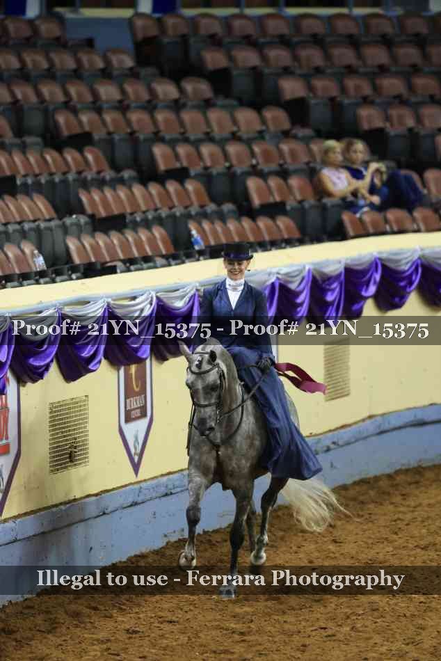 Proof 21YN_15375