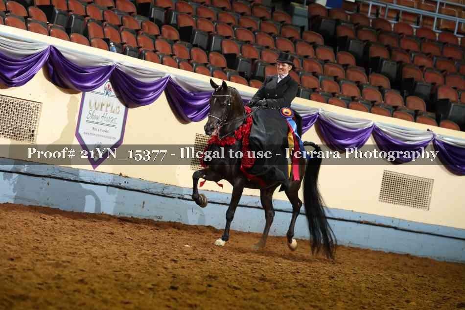 Proof 21YN_15377