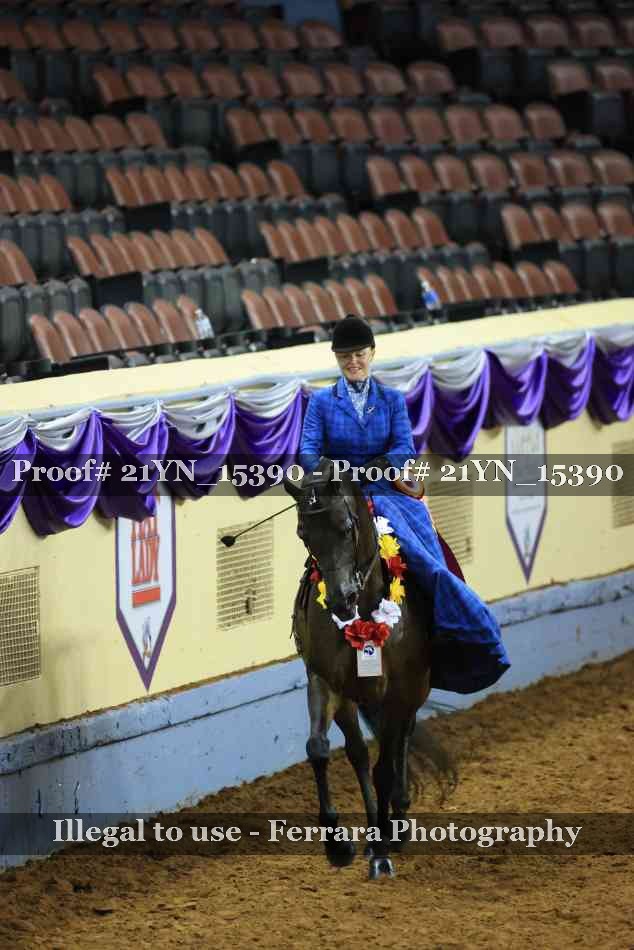 Proof 21YN_15390