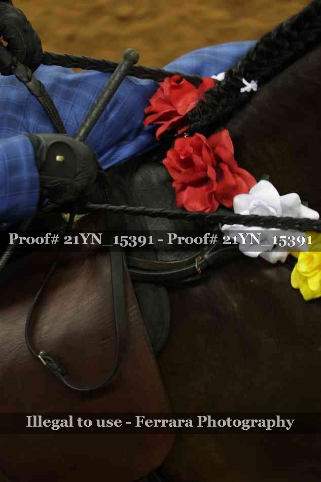 Proof 21YN_15391