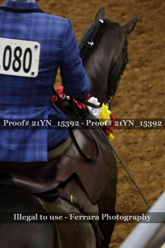 Proof 21YN_15392