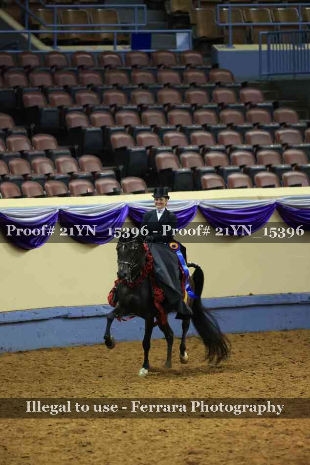 Proof 21YN_15396