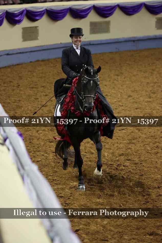 Proof 21YN_15397