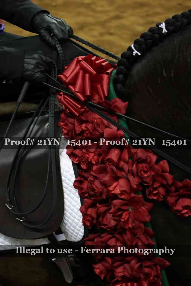 Proof 21YN_15401