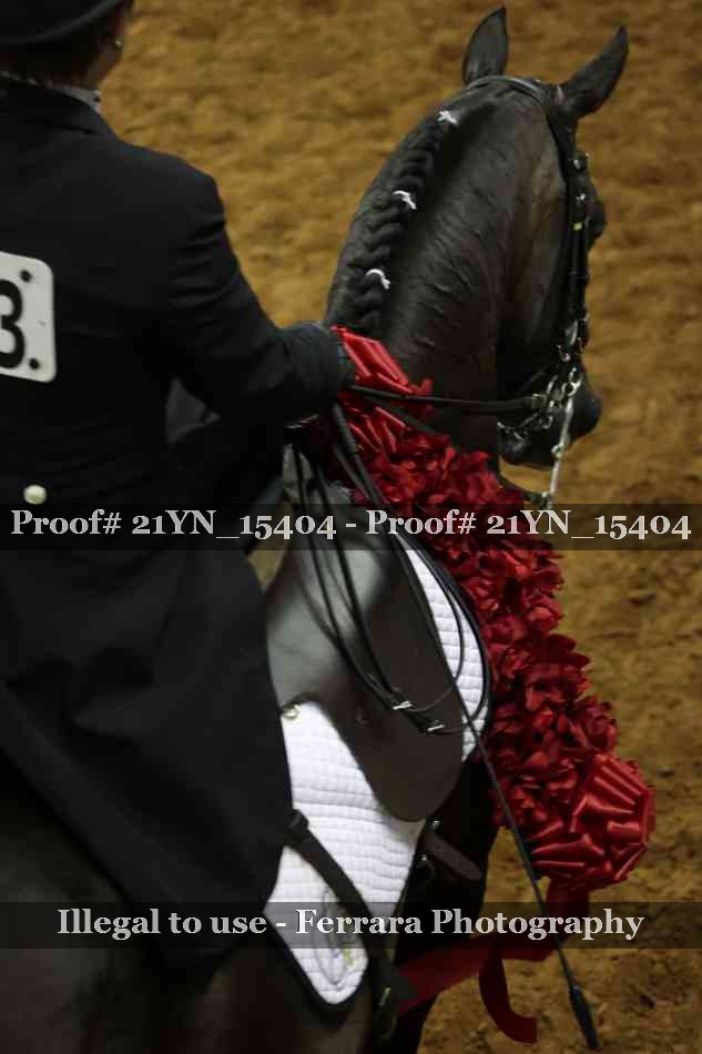Proof 21YN_15404