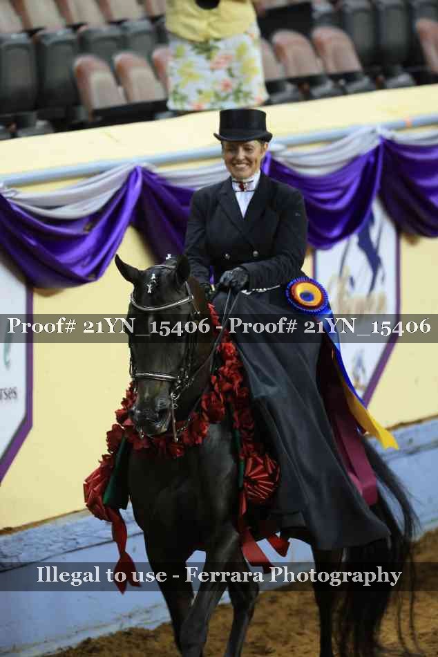 Proof 21YN_15406