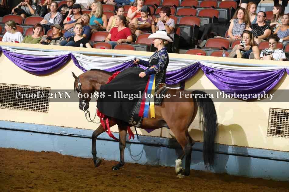 Proof 21YN_60188