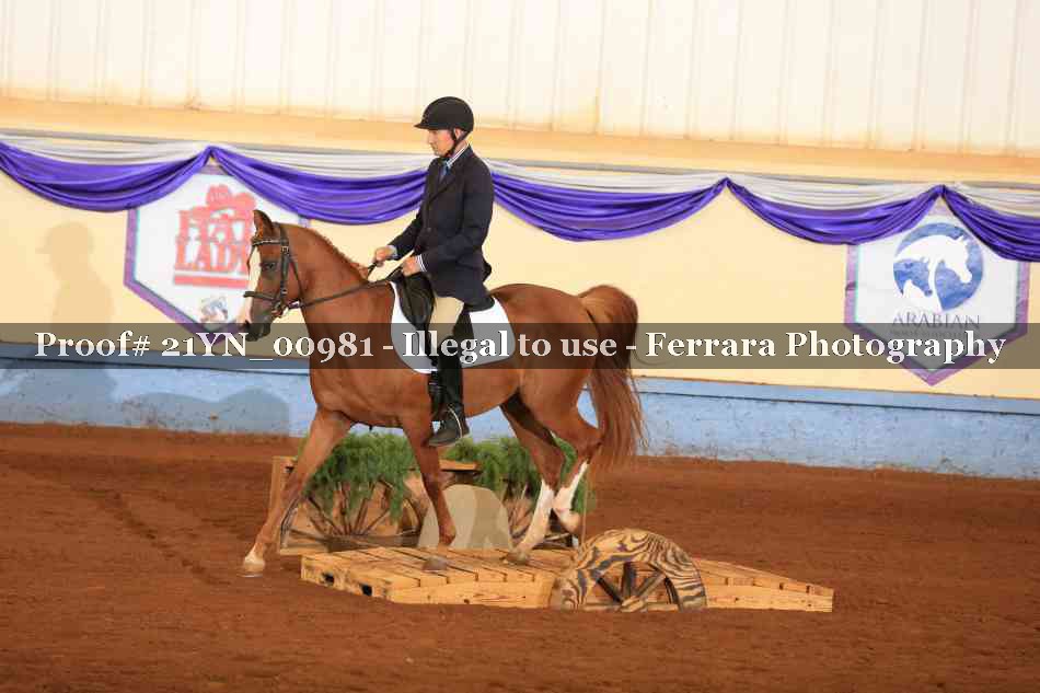 Proof 21YN_00981
