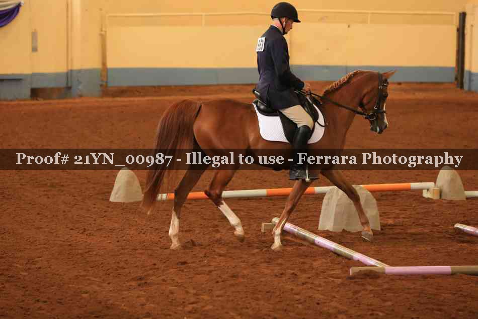 Proof 21YN_00987