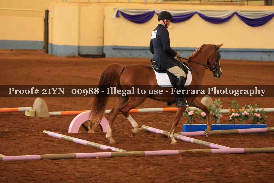 Proof 21YN_00988