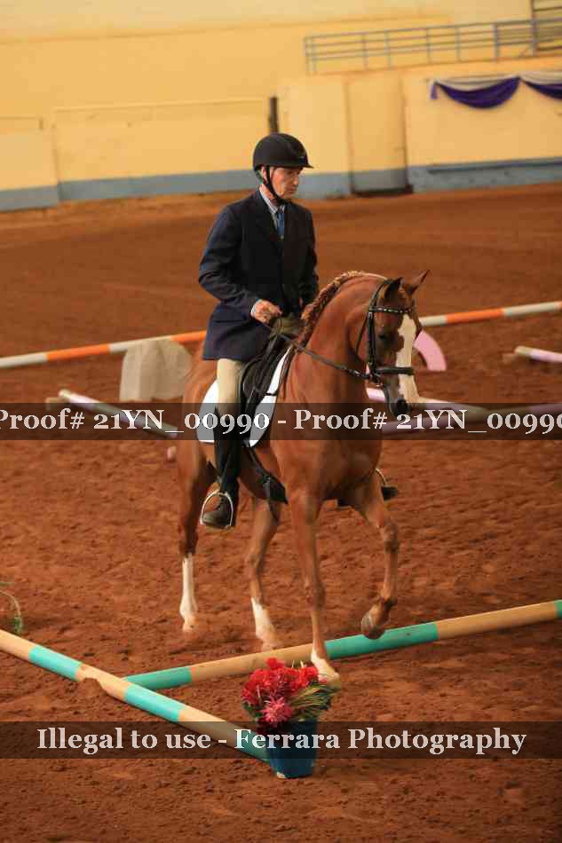 Proof 21YN_00990