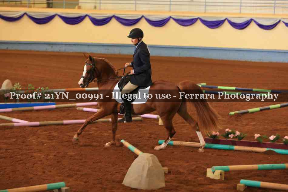 Proof 21YN_00991
