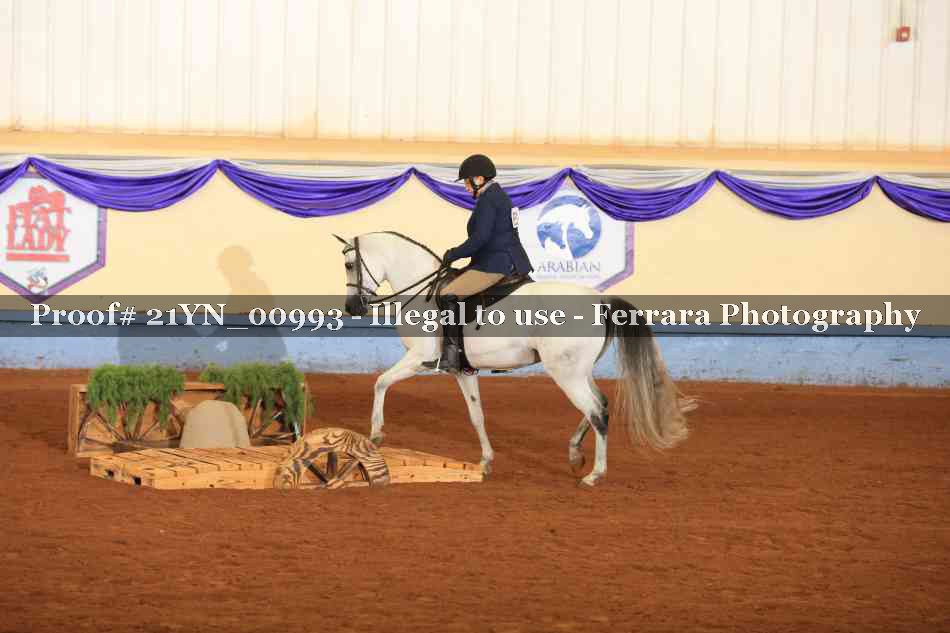 Proof 21YN_00993