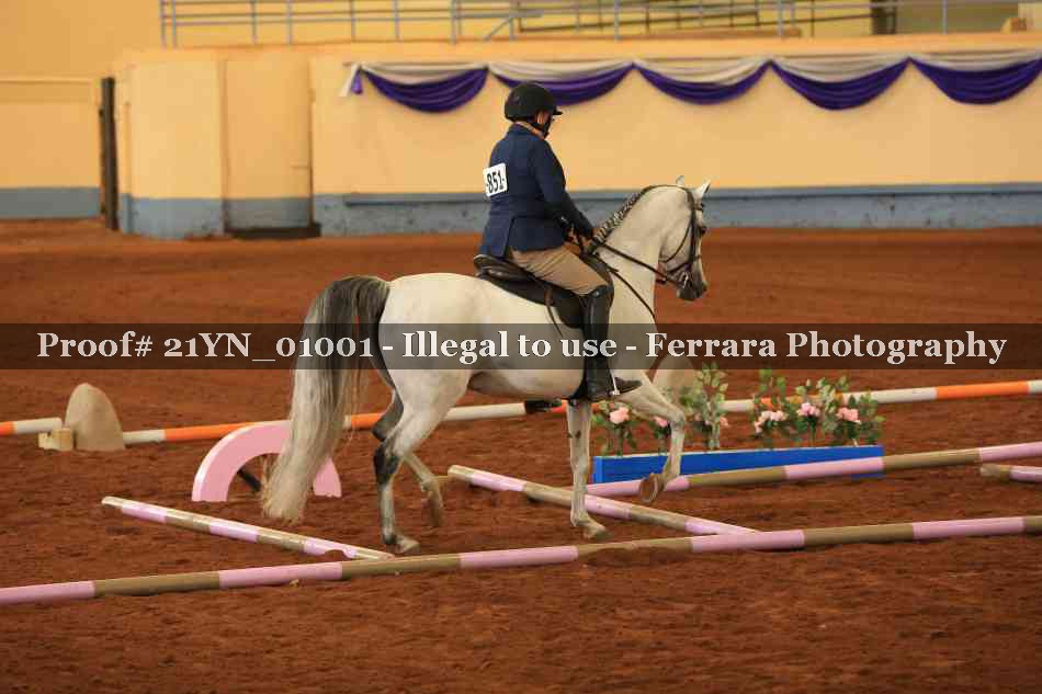 Proof 21YN_01001