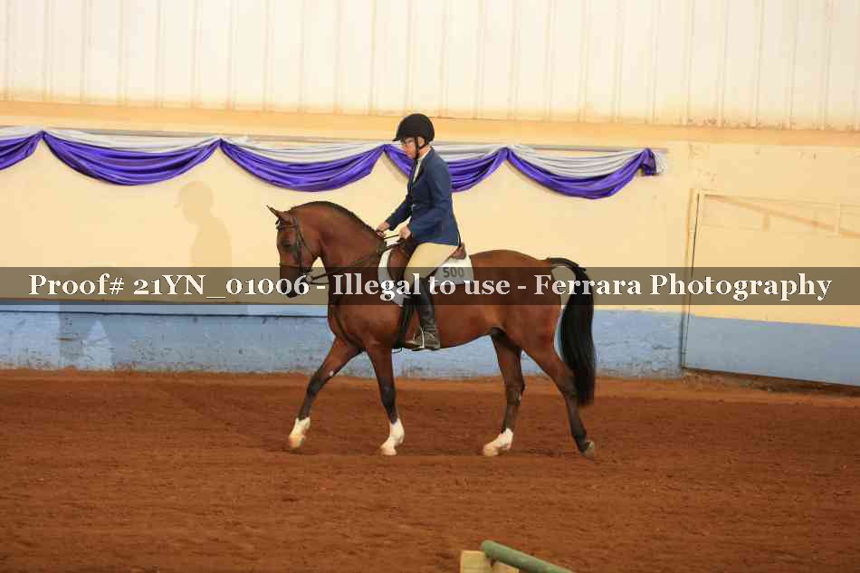 Proof 21YN_01006