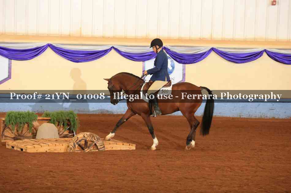 Proof 21YN_01008