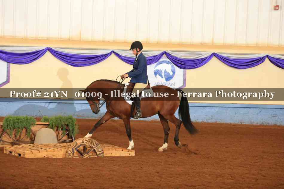 Proof 21YN_01009