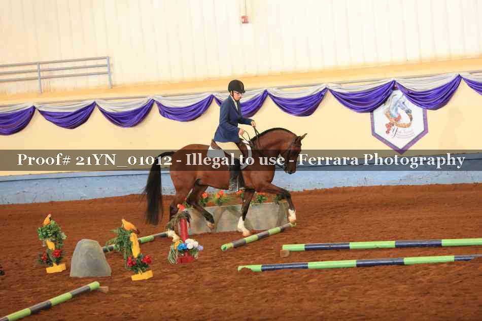 Proof 21YN_01012