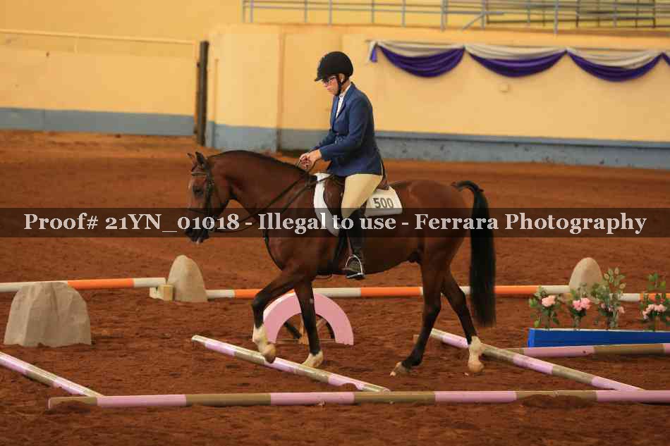 Proof 21YN_01018