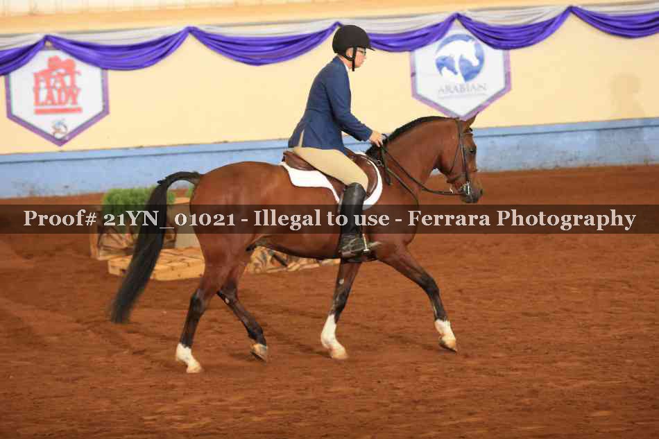Proof 21YN_01021