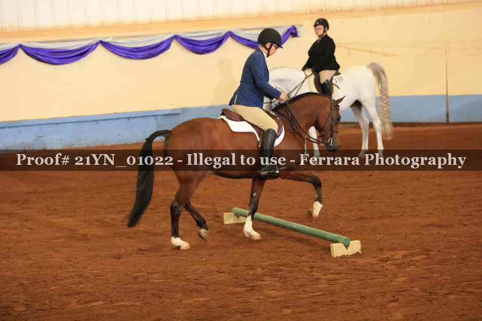 Proof 21YN_01022
