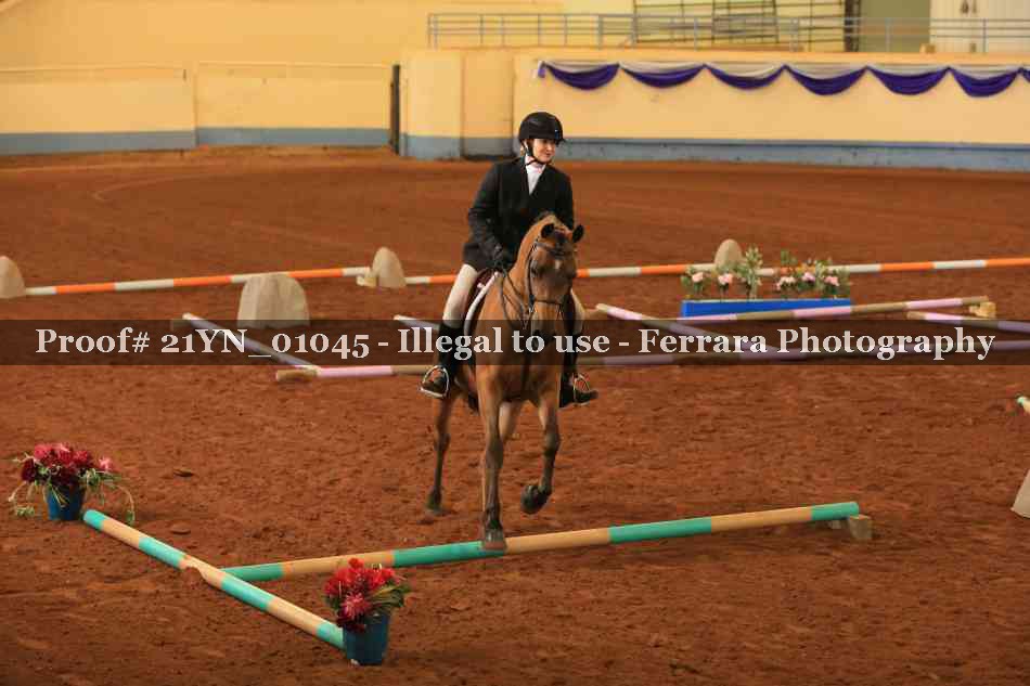Proof 21YN_01045
