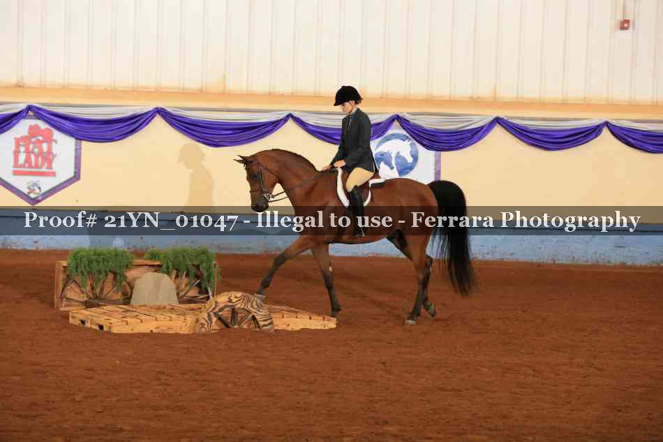 Proof 21YN_01047