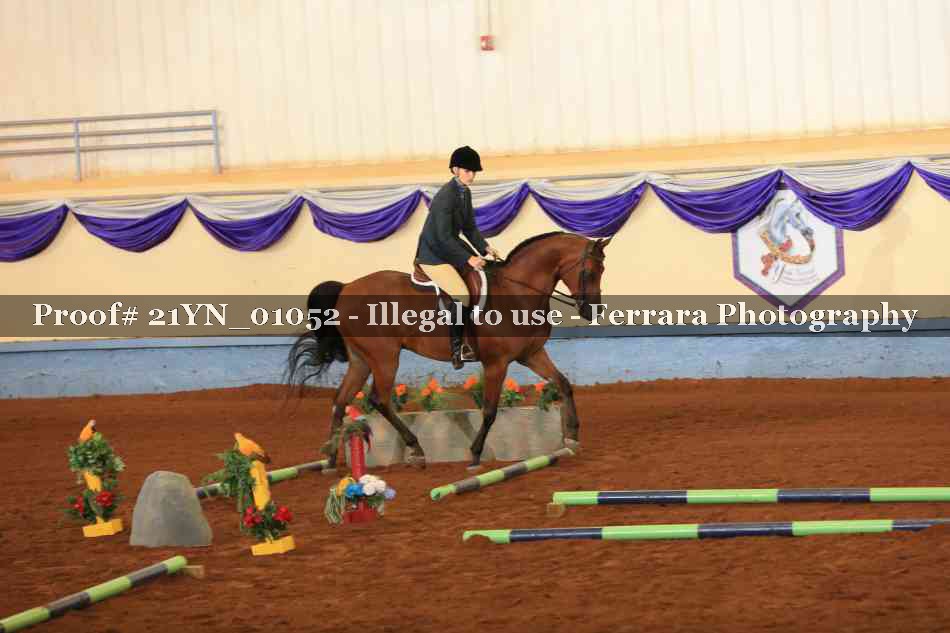 Proof 21YN_01052
