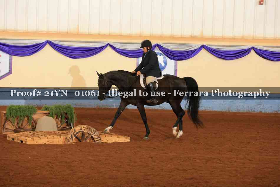 Proof 21YN_01061