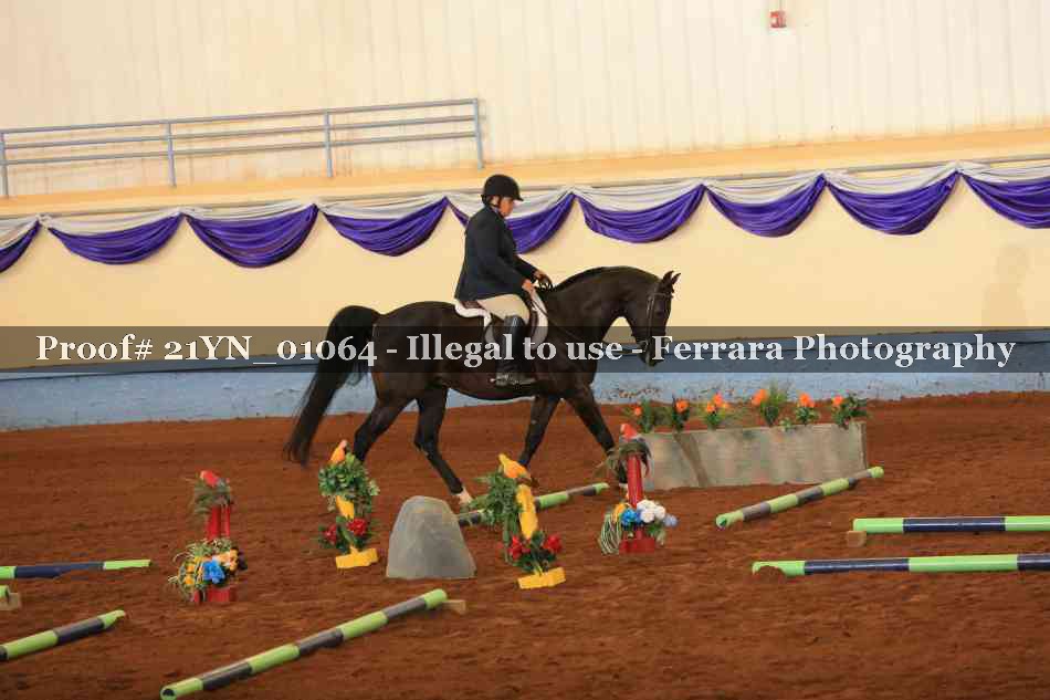 Proof 21YN_01064