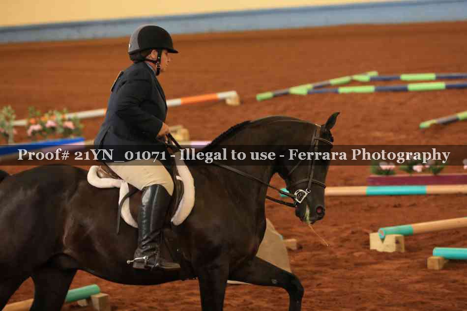 Proof 21YN_01071