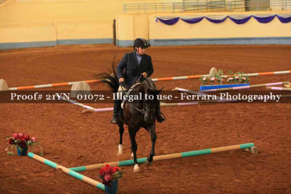 Proof 21YN_01072